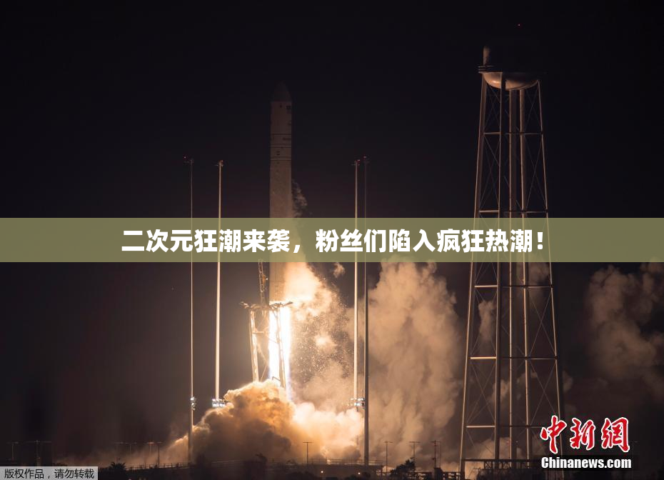 二次元狂潮来袭，粉丝们陷入疯狂热潮！