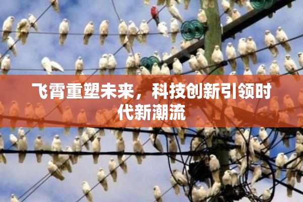 飞霄重塑未来，科技创新引领时代新潮流