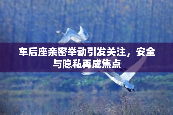 车后座亲密举动引发关注，安全与隐私再成焦点