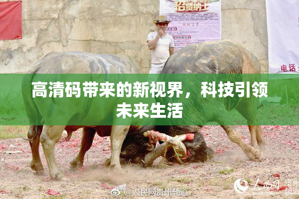 高清码带来的新视界，科技引领未来生活