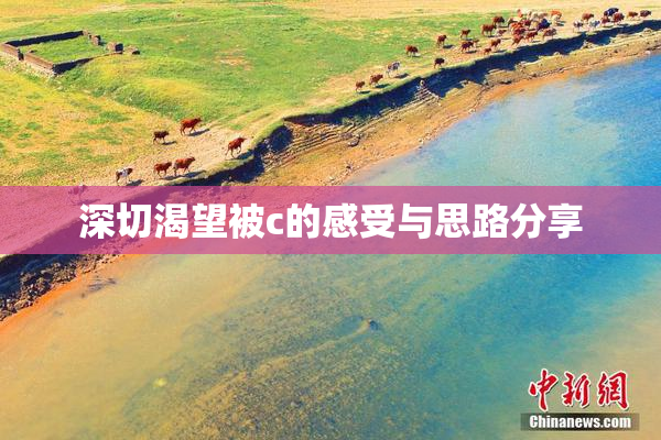 深切渴望被c的感受与思路分享