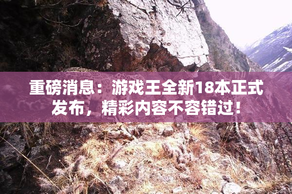 重磅消息：游戏王全新18本正式发布，精彩内容不容错过！