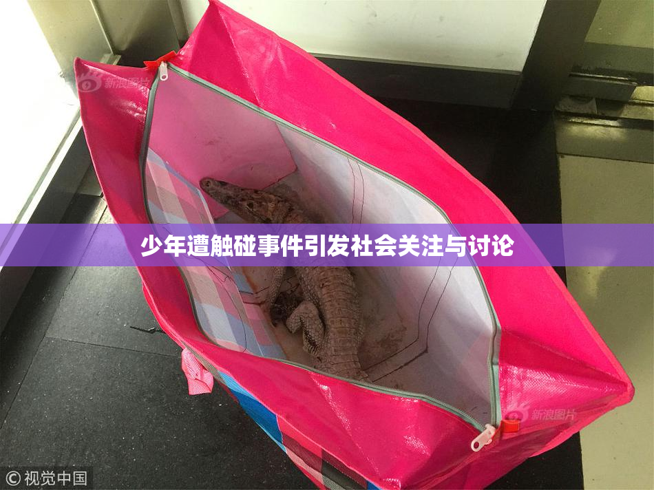少年遭触碰事件引发社会关注与讨论