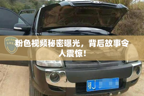粉色视频秘密曝光，背后故事令人震惊！
