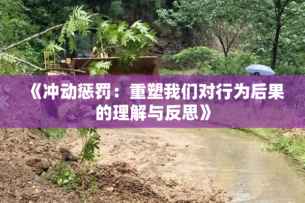 《冲动惩罚：重塑我们对行为后果的理解与反思》