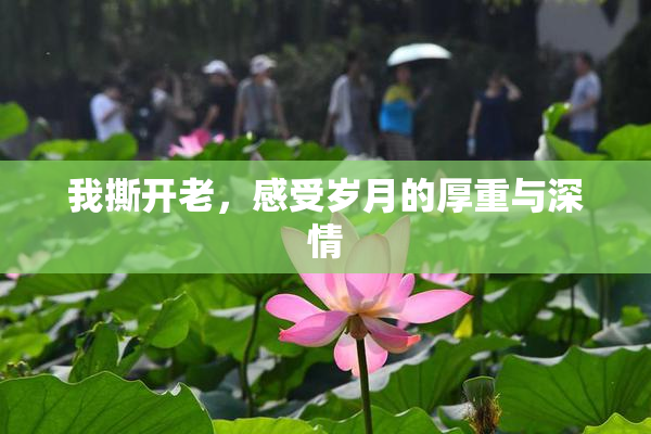 我撕开老，感受岁月的厚重与深情