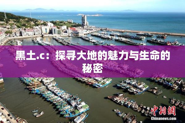 黑土.c：探寻大地的魅力与生命的秘密