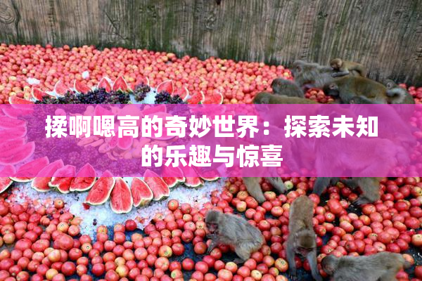 揉啊嗯高的奇妙世界：探索未知的乐趣与惊喜