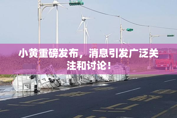 小黄重磅发布，消息引发广泛关注和讨论！