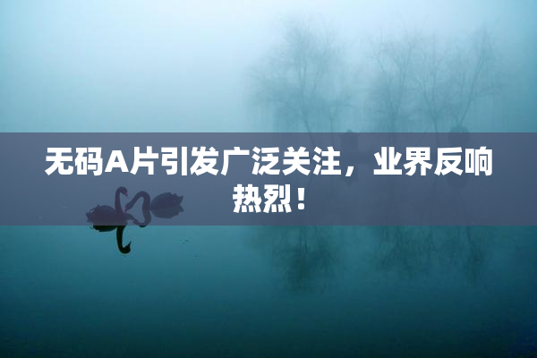 无码A片引发广泛关注，业界反响热烈！
