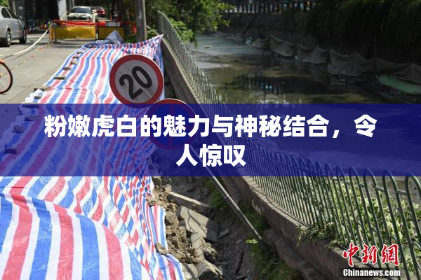 粉嫩虎白的魅力与神秘结合，令人惊叹