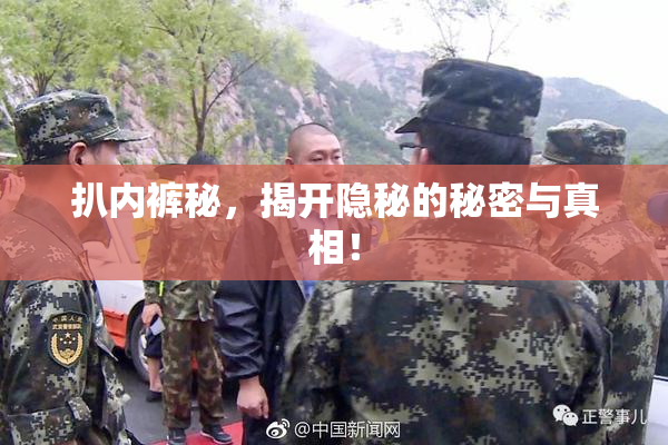 扒内裤秘，揭开隐秘的秘密与真相！