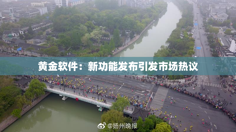 黄金软件：新功能发布引发市场热议