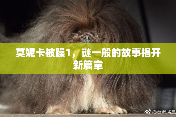 莫妮卡被躁1，谜一般的故事揭开新篇章