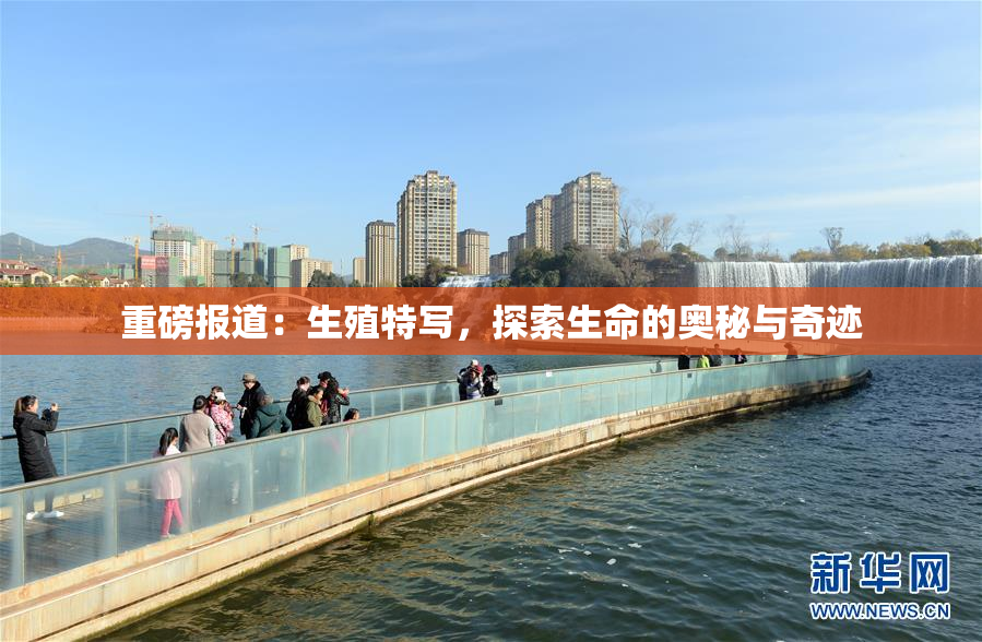重磅报道：生殖特写，探索生命的奥秘与奇迹