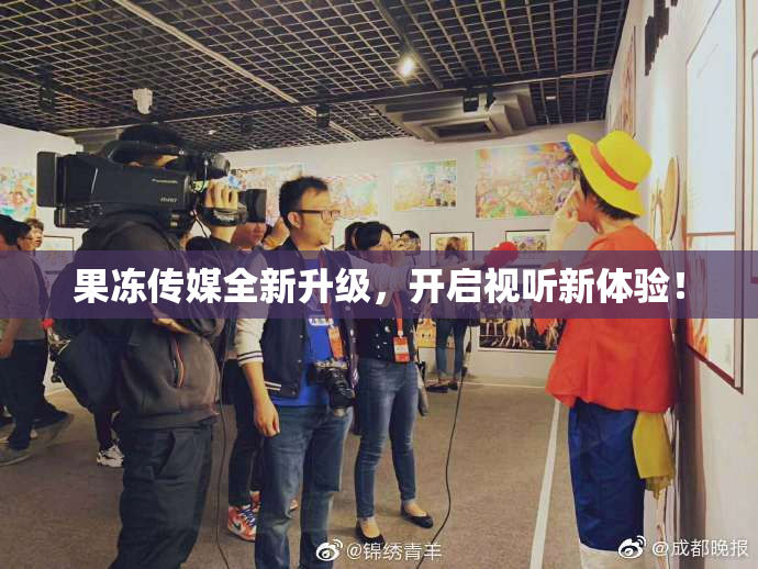 果冻传媒全新升级，开启视听新体验！