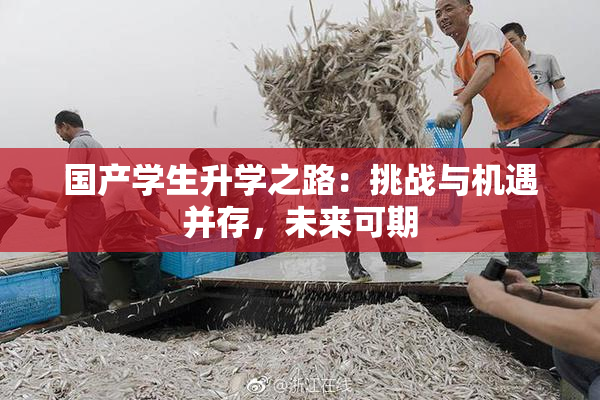国产学生升学之路：挑战与机遇并存，未来可期