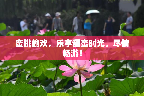 蜜桃偷欢，乐享甜蜜时光，尽情畅游！