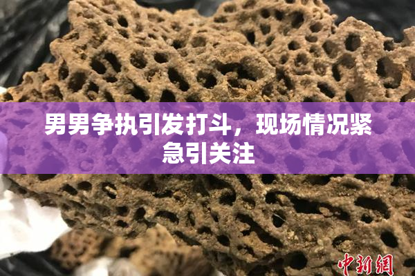 男男争执引发打斗，现场情况紧急引关注