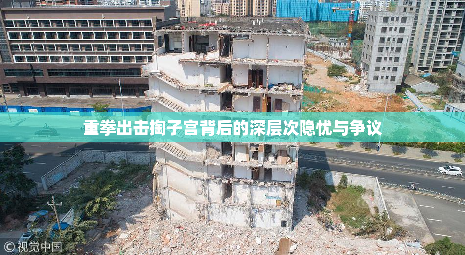 重拳出击掏子宫背后的深层次隐忧与争议