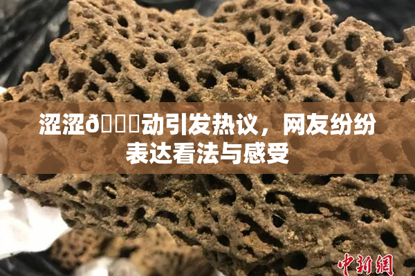 涩涩🔞动引发热议，网友纷纷表达看法与感受