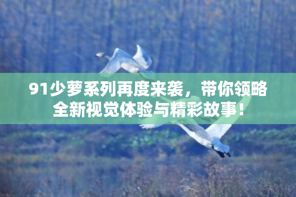 91少萝系列再度来袭，带你领略全新视觉体验与精彩故事！