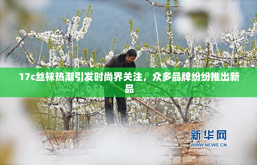 17c丝袜热潮引发时尚界关注，众多品牌纷纷推出新品
