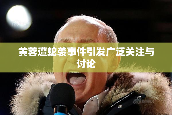 黄蓉遭蛇袭事件引发广泛关注与讨论