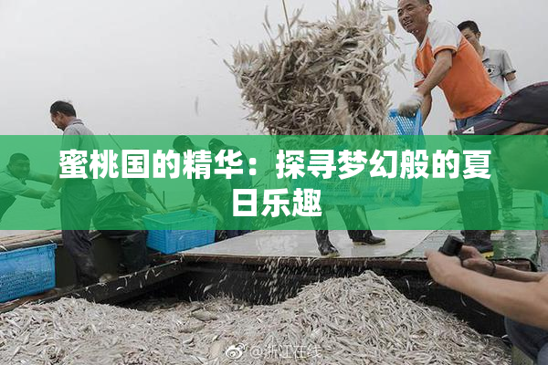 蜜桃国的精华：探寻梦幻般的夏日乐趣