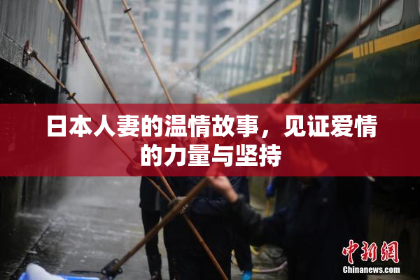 日本人妻的温情故事，见证爱情的力量与坚持
