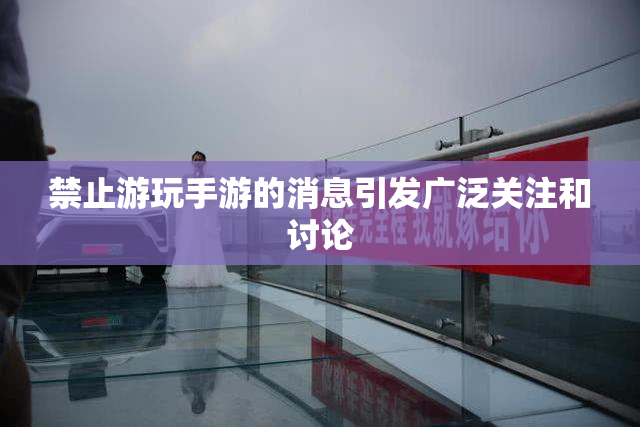 禁止游玩手游的消息引发广泛关注和讨论