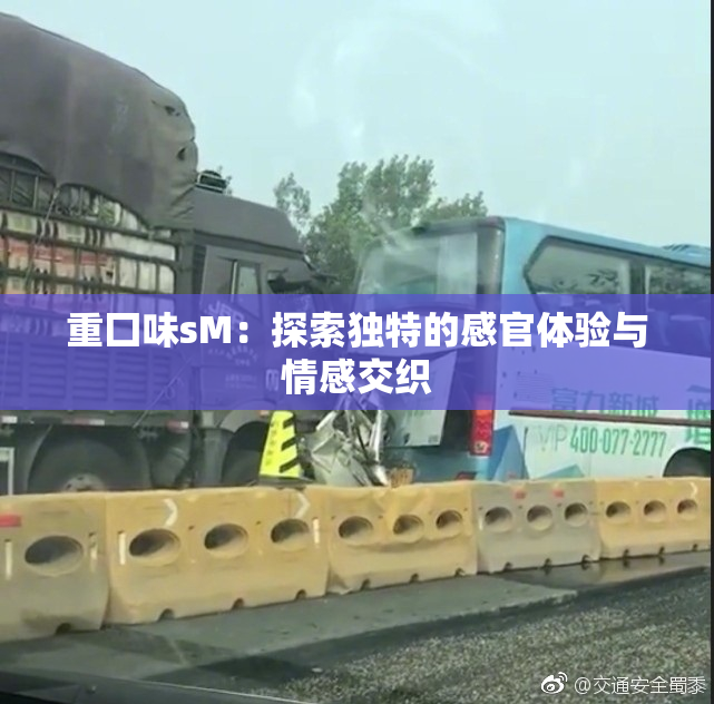 重囗味sM：探索独特的感官体验与情感交织
