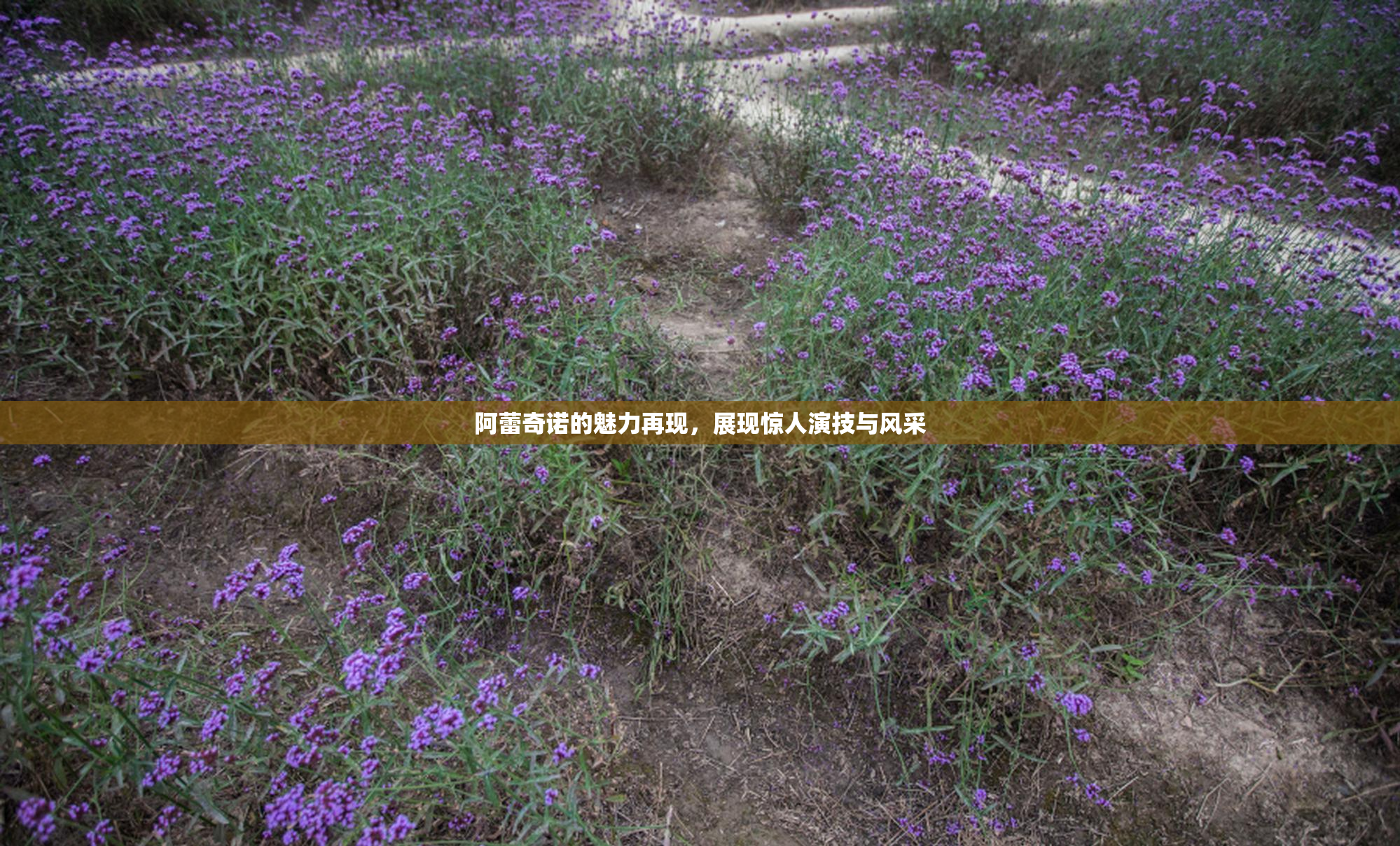 阿蕾奇诺的魅力再现，展现惊人演技与风采