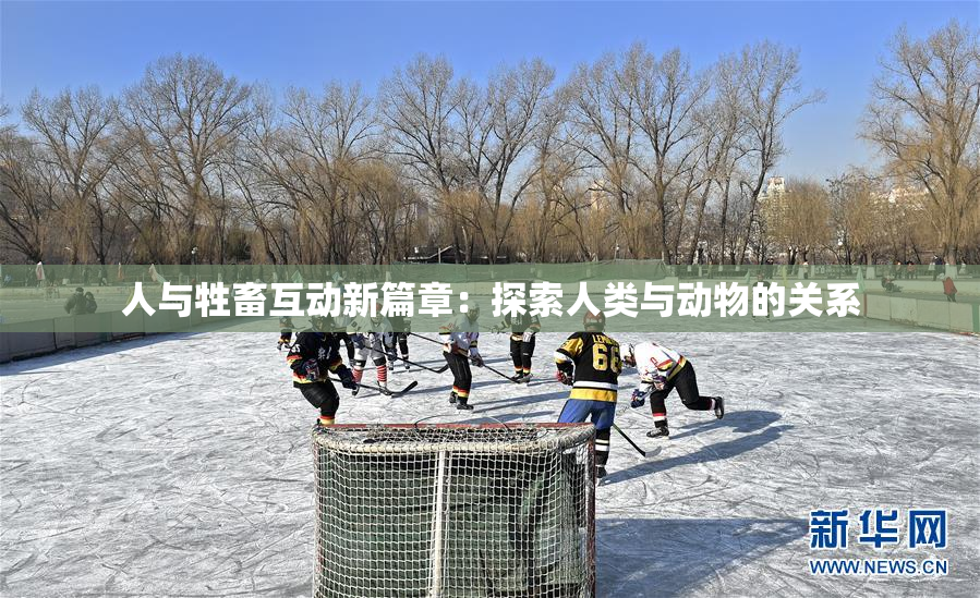人与牲畜互动新篇章：探索人类与动物的关系