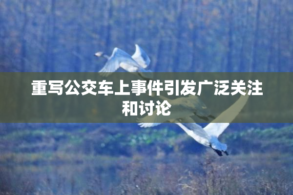 重写公交车上事件引发广泛关注和讨论
