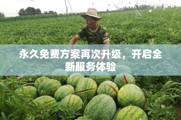 永久免费方案再次升级，开启全新服务体验