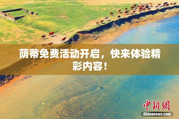 荫蒂免费活动开启，快来体验精彩内容！