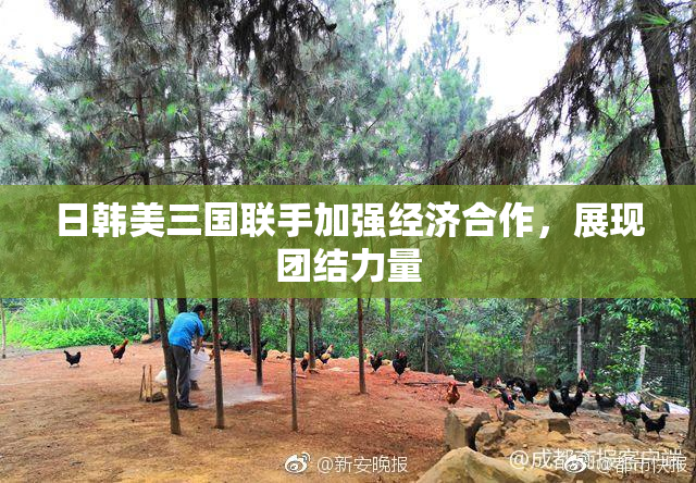 日韩美三国联手加强经济合作，展现团结力量