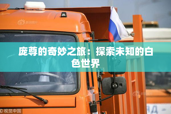 庞尊的奇妙之旅：探索未知的白色世界