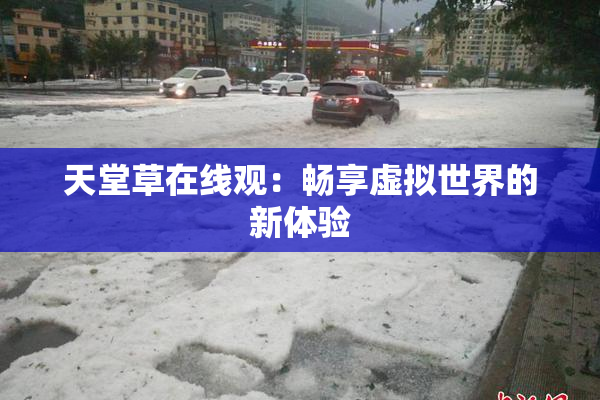 天堂草在线观：畅享虚拟世界的新体验