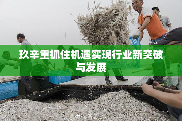 玖辛重抓住机遇实现行业新突破与发展
