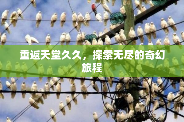 重返天堂久久，探索无尽的奇幻旅程