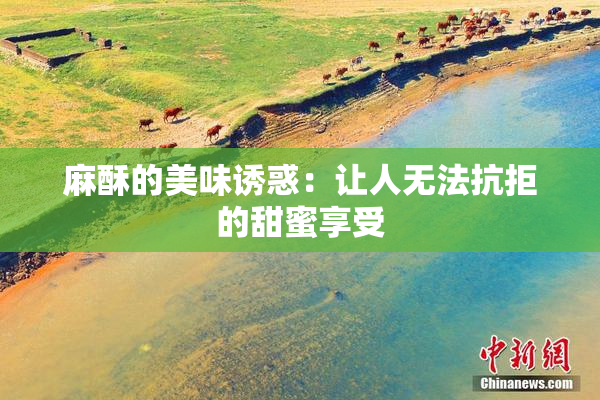 麻酥的美味诱惑：让人无法抗拒的甜蜜享受