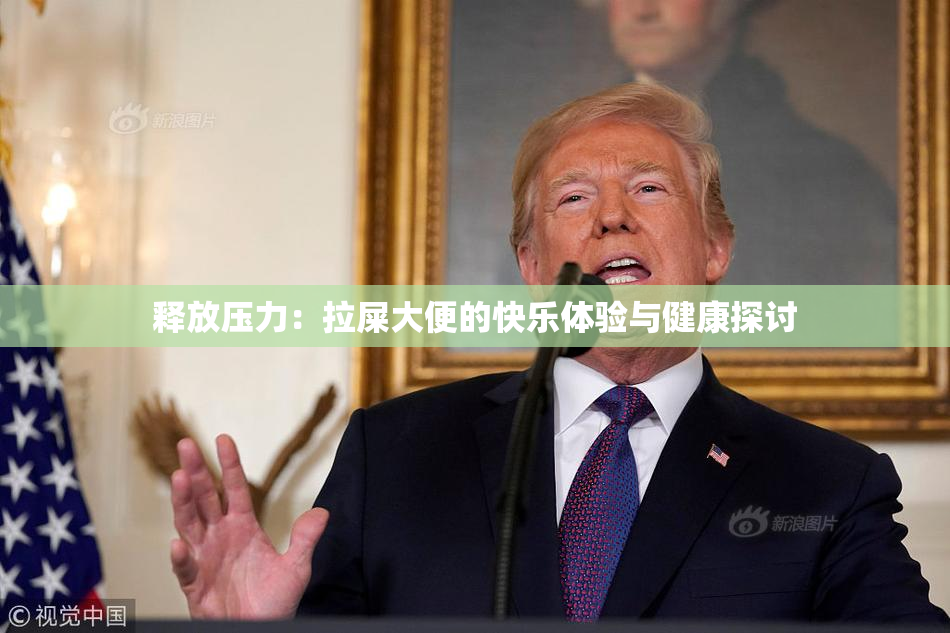 释放压力：拉屎大便的快乐体验与健康探讨