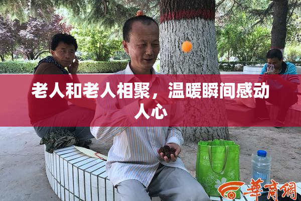 老人和老人相聚，温暖瞬间感动人心