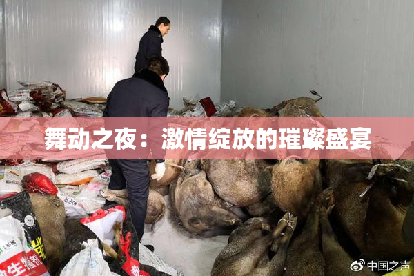舞动之夜：激情绽放的璀璨盛宴