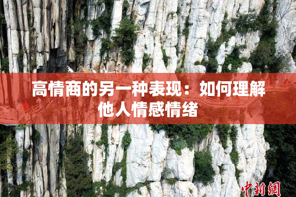 高情商的另一种表现：如何理解他人情感情绪