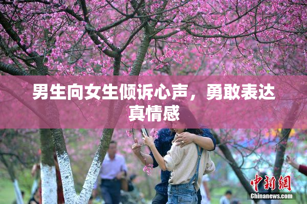 男生向女生倾诉心声，勇敢表达真情感