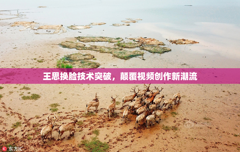王思换脸技术突破，颠覆视频创作新潮流