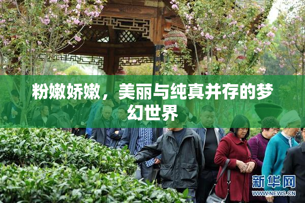粉嫩娇嫩，美丽与纯真并存的梦幻世界